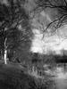 Riverside in Black and Whitecopy